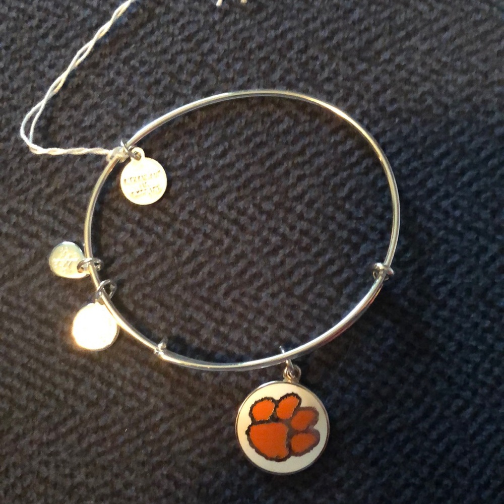 Alex and Ani Bracelet NWT